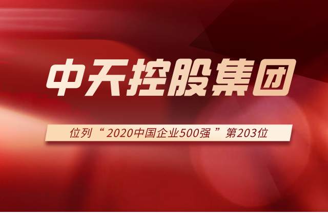控股集团列2020中国企业500强第203位！
